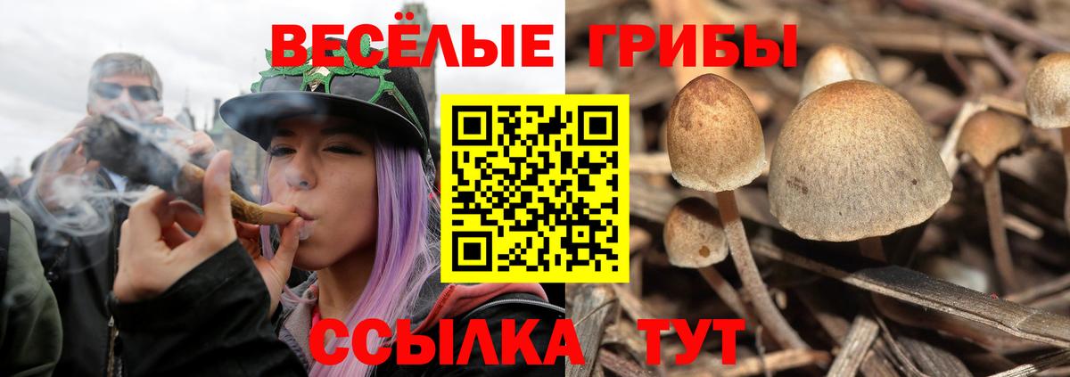Галлюциногенные грибы GOLDEN TEACHER Артёмовский
